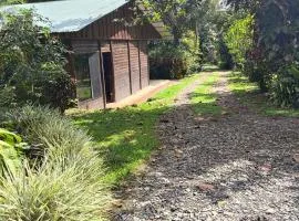 Cabaña escondida Venecia