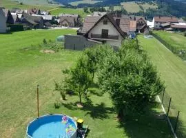 Panorama Pienin- apartamenty i studio