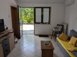 Apartma Zeleni mir
