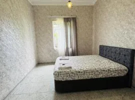 Ninoshvili str apartments