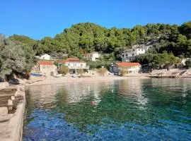 Seaside secluded apartments Cove Torac, Hvar - 24462