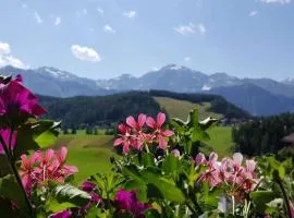 Edelweiss Riding stable Alpine Appart