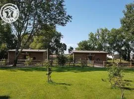 Chalets bord d'étang avec terrasse privée et équipements loisir, parfaits pour une escapade nature - FR-1-496-79