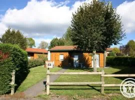 Chalet confortable avec cheminée et animaux admis à Usson-en-Forez - FR-1-496-163