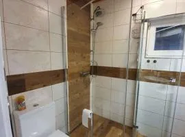 Holiday home Marianska - Erzgebirge 1668