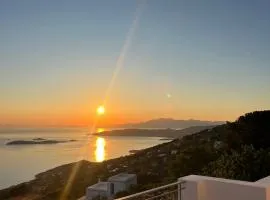 Aegean Mirror, Andros