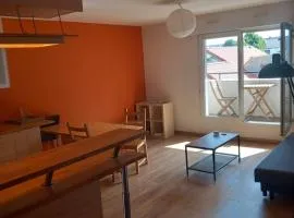 Appartement lumineux hypercentre balcon parkin