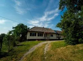 Casa Buzaiel,910