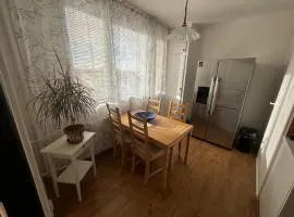 Flat close to the city centre