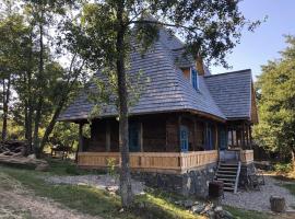 Poiana Creasta Cocoșului-Casa Floare De Nu Mă Uita, villa i Breb