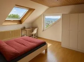 Licht und Luft in Bad Cannstatt