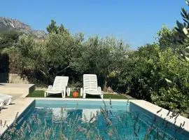 Eden Holiday House with private Pool and Vineyard