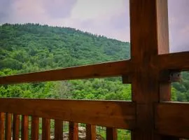Yamabushi B&B
