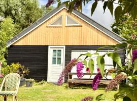 Het Wierhuis, hotel con tinas de hidromasaje en Pieterburen