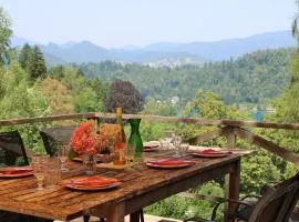 Panoramic Forest Chalet Bled Lake and Castle View