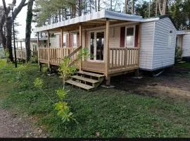 Mobil home 6 personnes Mer et Pins