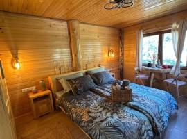 EtnoLux Apartmani, hotel in Živinice