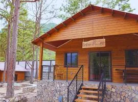 Apino Lodge del Celaque