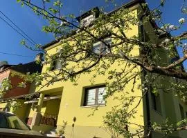 Haus Heincz