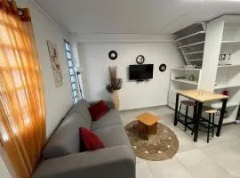 Duplex La Petite Perle avec son jardin privé