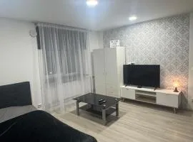 Downtown riverside apartment with parking