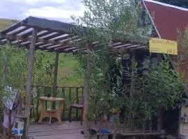 Altana letnia nr2 - Herbergerówka Agroturystyka na wsi