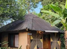 Jungla Hostel