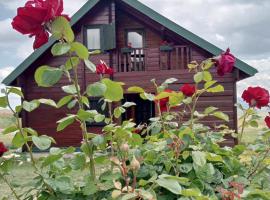Boskovica Brvnare, barrierefreies Hotel in Žabljak