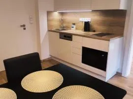 Apartmán Palackého sady - pohoda v srdci města