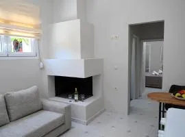 Lena's apartment with fireplace