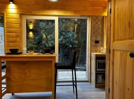 Container con opción de tina temperada, rezort v destinaci Puerto Varas