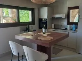 Ianos Living Spaces - 02