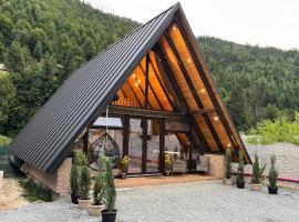 알바크에 위치한 빌라 A-frame Cernat