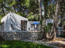 Seaside house for families with children Ivan Dolac, Hvar - 140, Hotel in Ivan Dolac