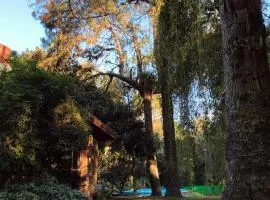 La Manquel - Casa y Yungas
