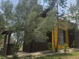 Cabaña Eucalipto 32