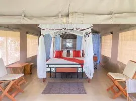 Giraff maasai mara home stay&safaris