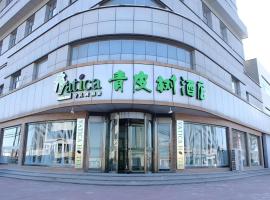 Vatica Tianjin Jinghai Bus Station Home World Plaza Hotel, hotel v destinaci Tchien-ťin