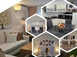 Apartment Andy