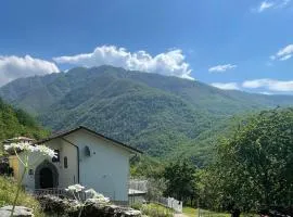 Il Ciliegio