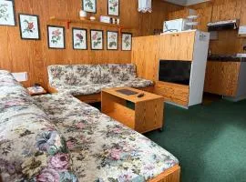 Residence Solaria Albarè Marilleva 1400