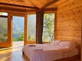 Panoramic Wood Cabin