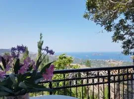 Villa Petri