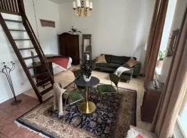 Old Hapsal Apartment