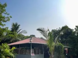 Aliibaug RR Villa 6Bhk