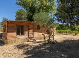 cabane des vignes