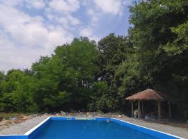 Vodenica Lug, farm stay in Strmosten