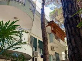 GM Apartment 1