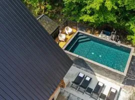 The ANIMAL - PARTY TIME - POOL SPA AND MOUNTAIN