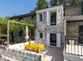 Luxury Villa Pjetra